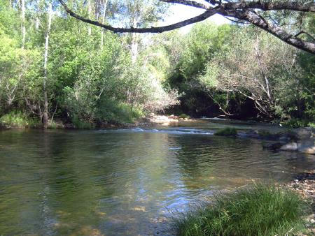 ¿Donde están las truchas?